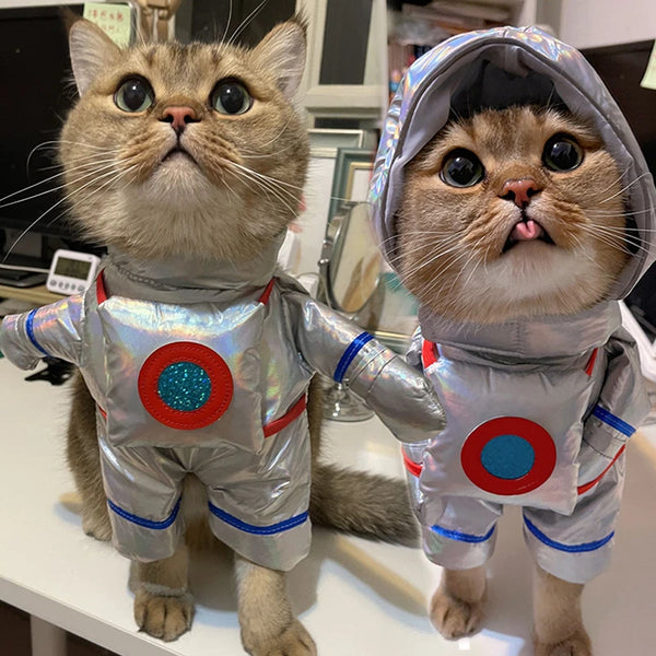 GalacticGiggles Pet Cosplay: Funny Space Suit for Cats and  Dogs