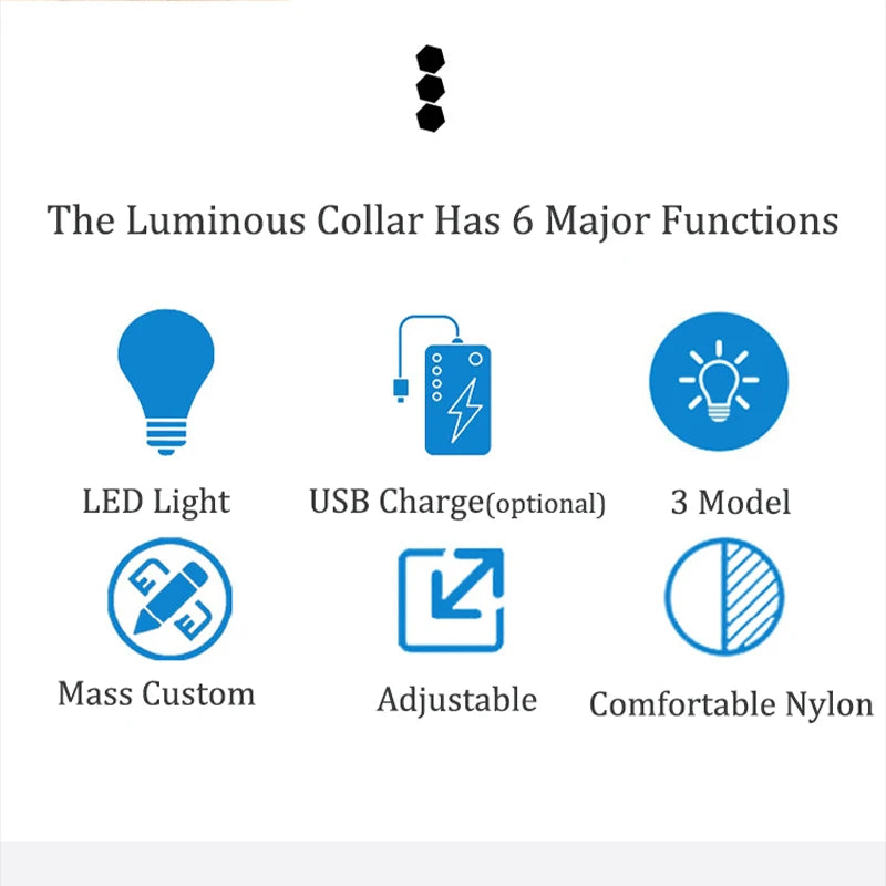 Illuminate Safety: USB Rechargeable LED Dog Collar Light