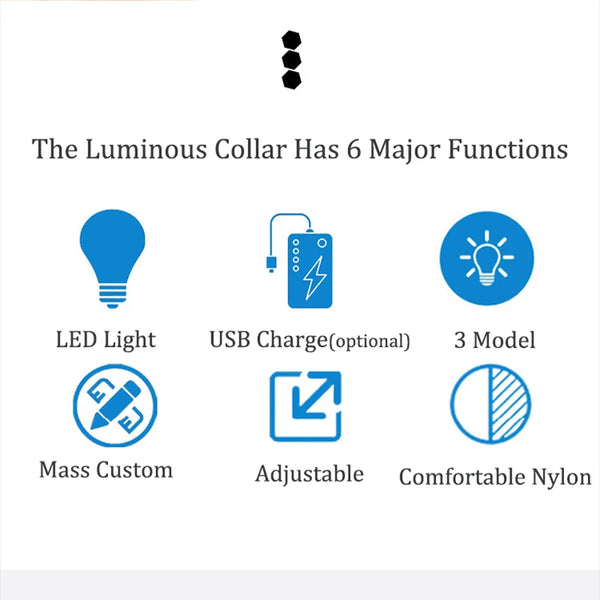 Illuminate Safety: USB Rechargeable LED Dog Collar Light