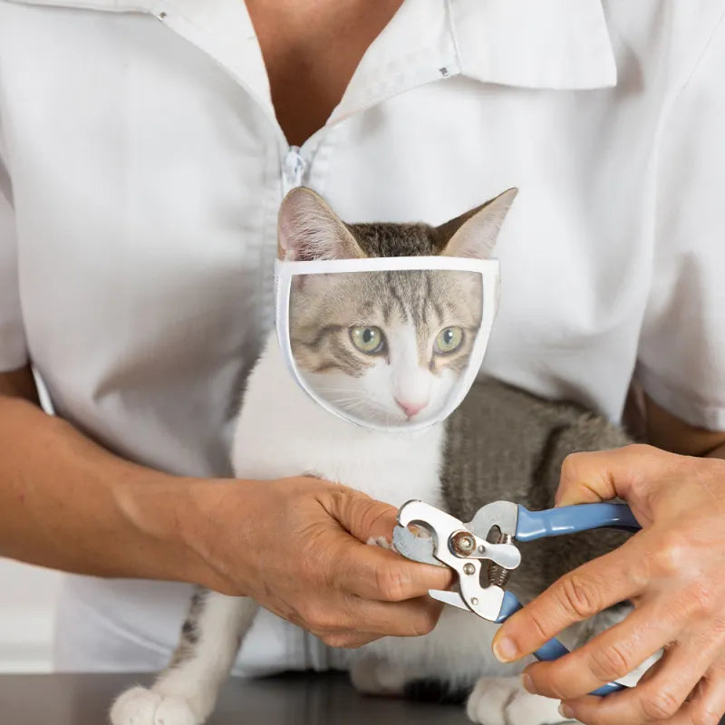 Breathable Cat Muzzle: Stress-Free Travel and Grooming for Cats