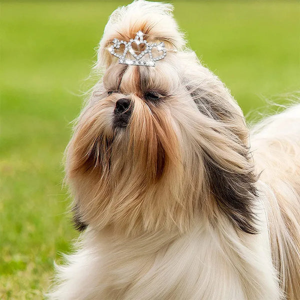 RegalRitz Pet Elegance: Crystal Rhinestone Dog Tiara Crown Hair Clips