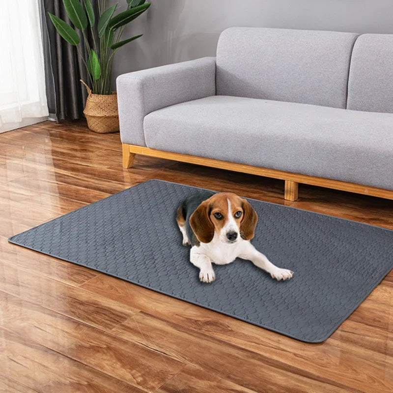 Stay Dry, Stay Happy: Reusable Dog Urine Mat