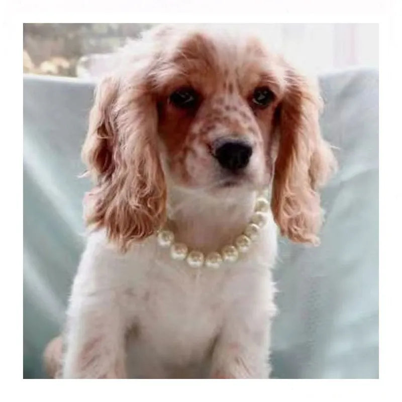 Pearl Elegance: Fashion Pet Faux Pearls Necklace with Adjustable Extension for Small Dogs and Cats