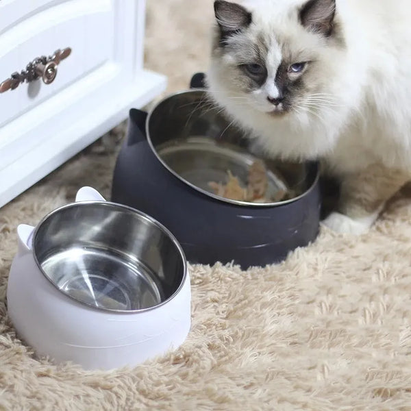 Elevated Dining: Raised Stainless Steel Cat Bowls for Neck Safeguard