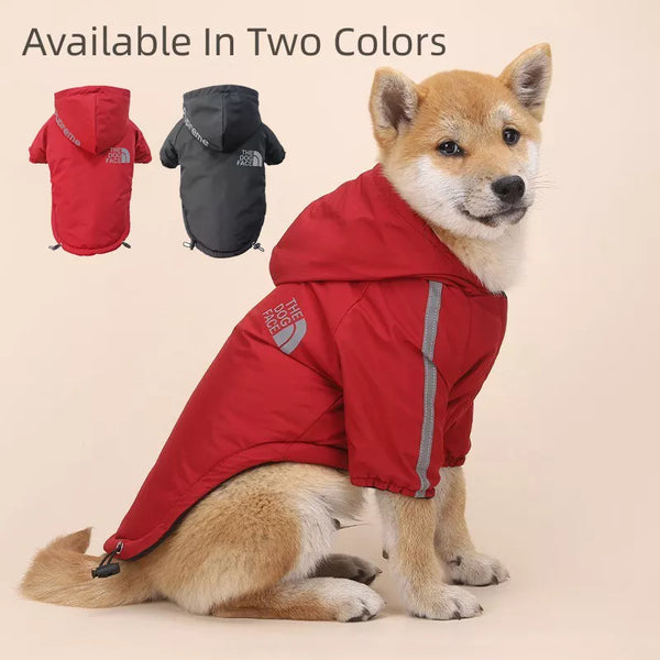 ChillGuard Couture: Winter Fashion Waterproof Dog Coat
