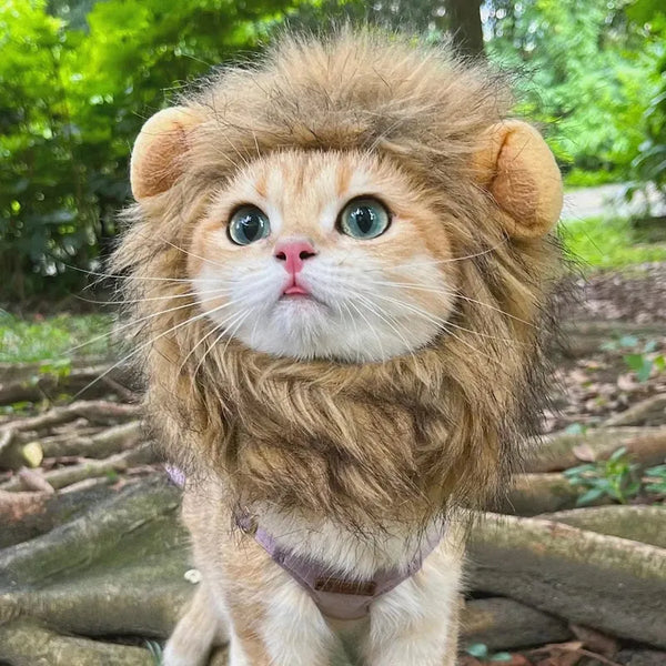 PurrKing Mane Marvel: Cute Lion Mane Cat Wig