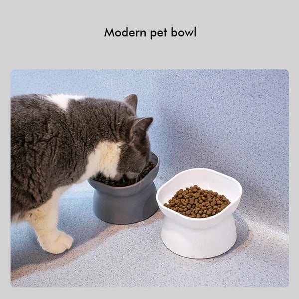 Stress-Free Dining: Tilted Cat Food Bowl for Comfort and Convenience