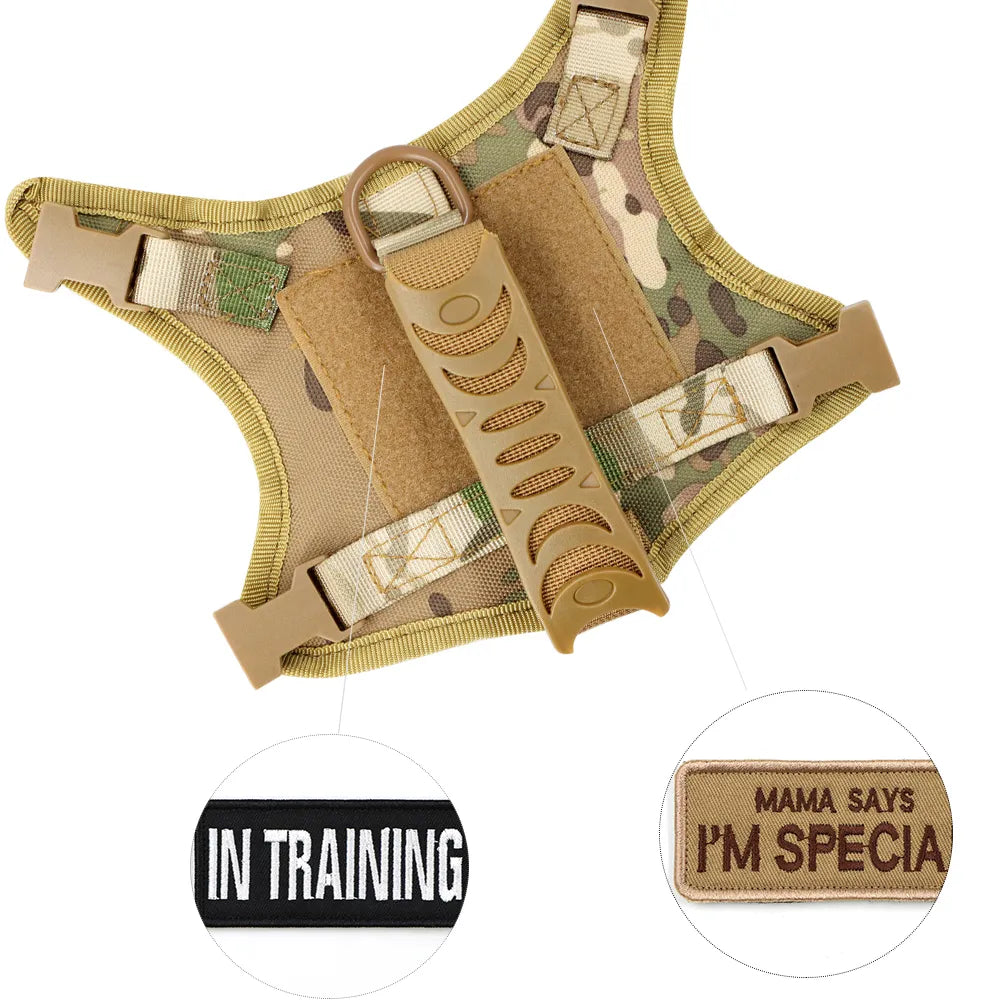 Tactical Training: Adjustable Cat Harness Vest with Leash