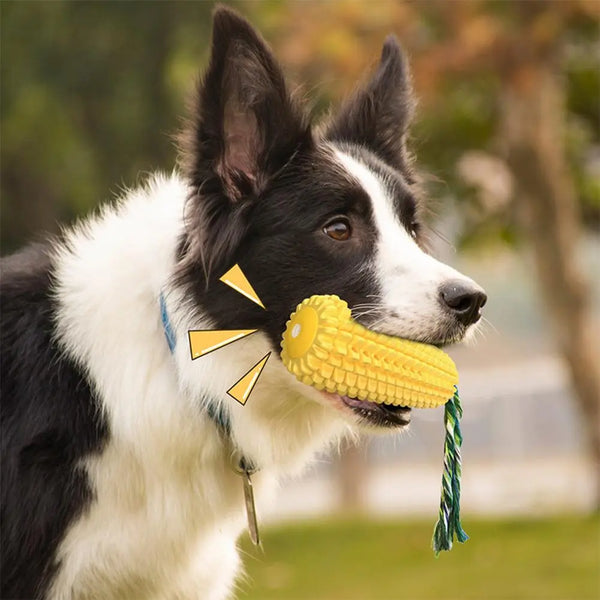 CornChew Dental Delight: Toothbrush Dog Toys with Squeaker