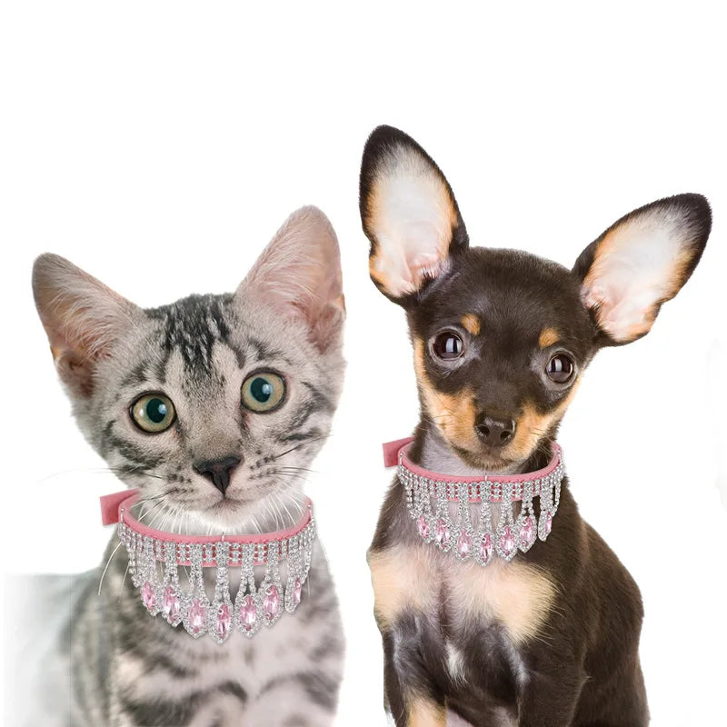 DiamondDazzle Pet Adornments: Luxurious Diamond Necklace Pet Collar