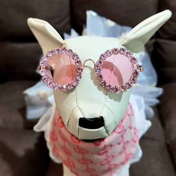 GlamGaze Pet Chic: Rhinestone Sunglasses for Dogs and Cats