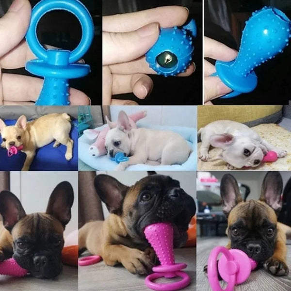 BiteBliss Pacifier Pup: Resilient Rubber Ring Toy for Small Dog Dental Delight