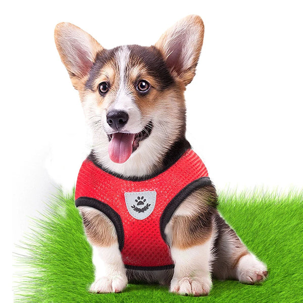 Comfortable Strolls: Adjustable Vest Harness for Small to Medium Dogs and Cats