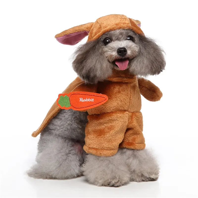 Furry Festivities: Pet Ups Costumes Set with Hat