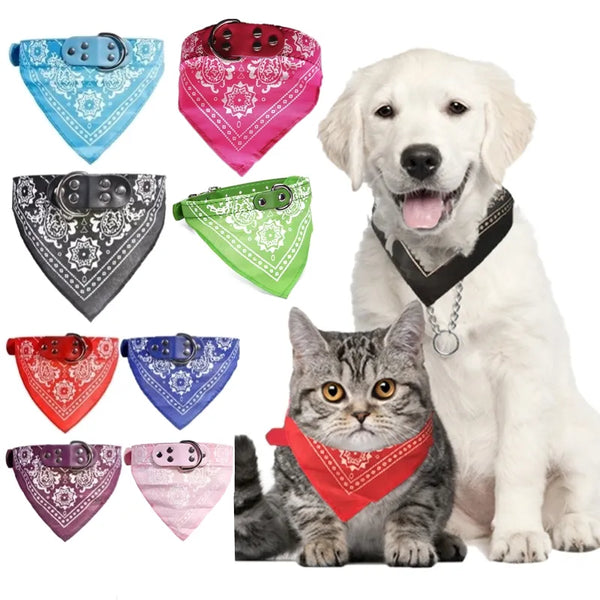 Adorably Chic: Adjustable Small Dog Collars with Cute Print Scarf Design