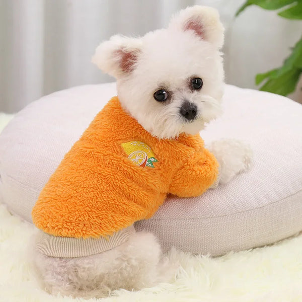 Cozy Canine Couture: Warm Hooded Pet Clothes for Small Dogs