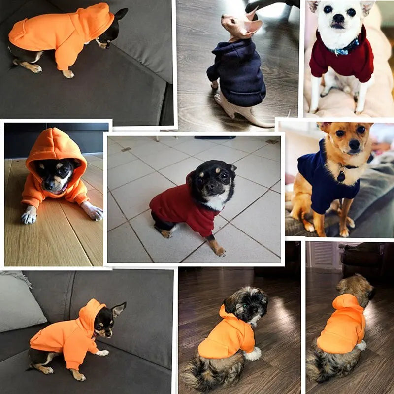 ChicCanine Cozy Couture: Warmth Edition
