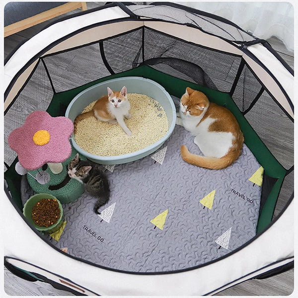 CozyCrate Summer Retreat: Detachable Cat Delivery Room