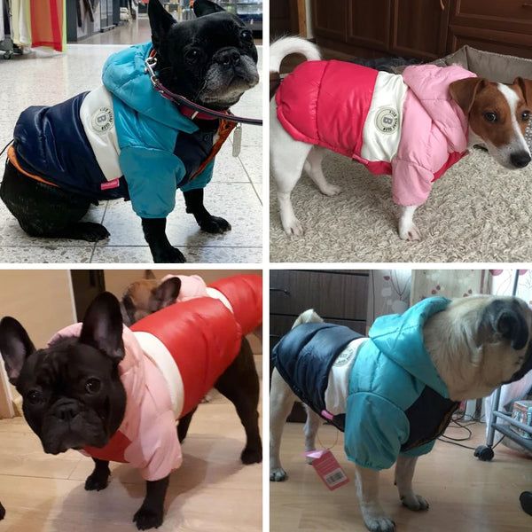 FrostGuard Canine Couture: CozyK9 Waterproof Winter Jacket