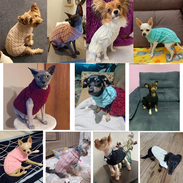Winter Warmth for Furry Friends: Pet Turtleneck Sweaters