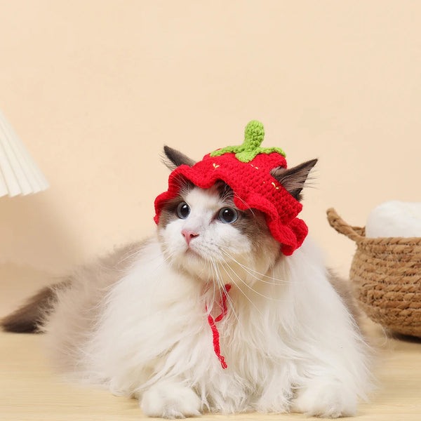CozyCrown Cat Hat: Elastic, Cute, and Refined Knitted Hat