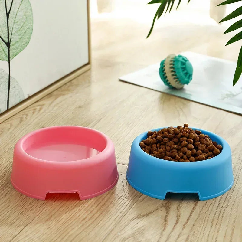 Round and Ready: Pet Bowl for Dogs and Cats