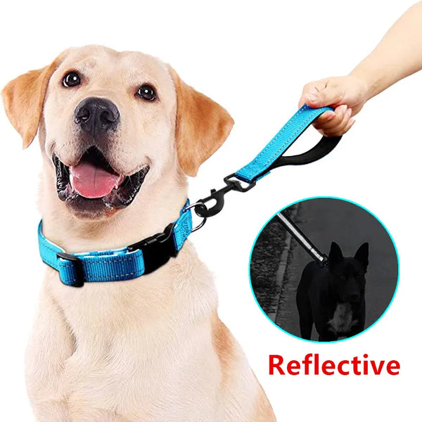 ReflectiveSafe Leash: Short Nylon Dog Leash with Reflective Features