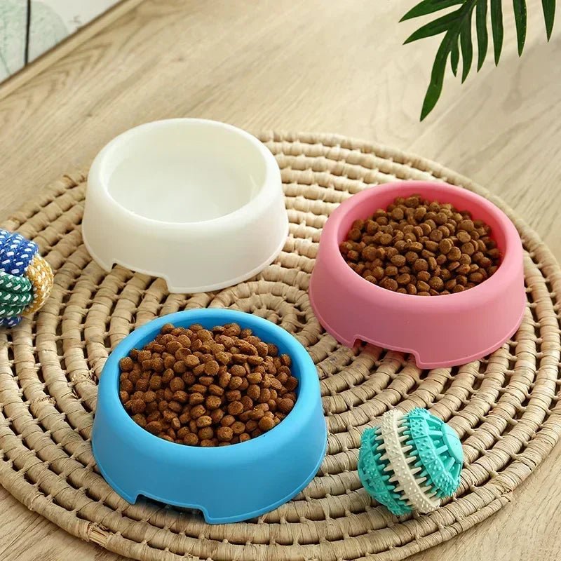 Round and Ready: Pet Bowl for Dogs and Cats