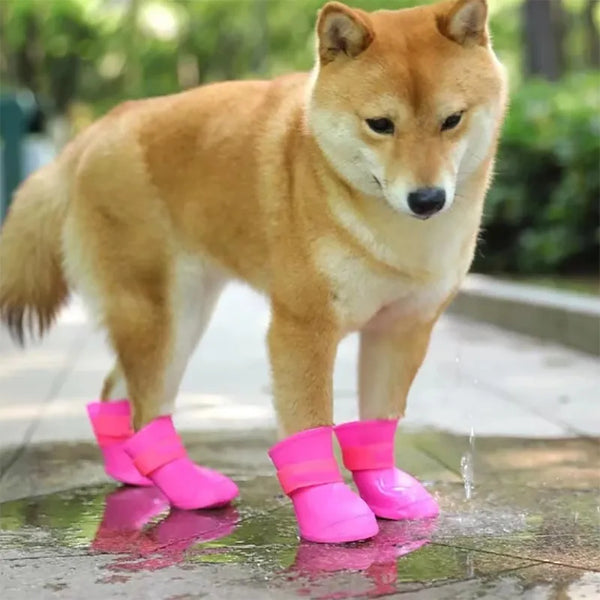 StylishPaws WeatherGuard Ankle Boots: Keep your furry friend's feet dry and secure during outdoor adventures