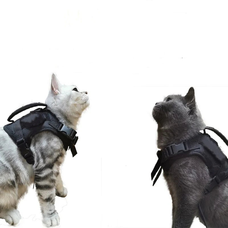 Secure Adventures: Tactical Cat Harness with Adjustable Nylon