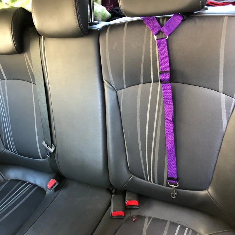 SafeStrap DuoGuard: Solid Color Two-in-One Pet Car Seat Belt for Backseat Safety and Adjustable Comfort