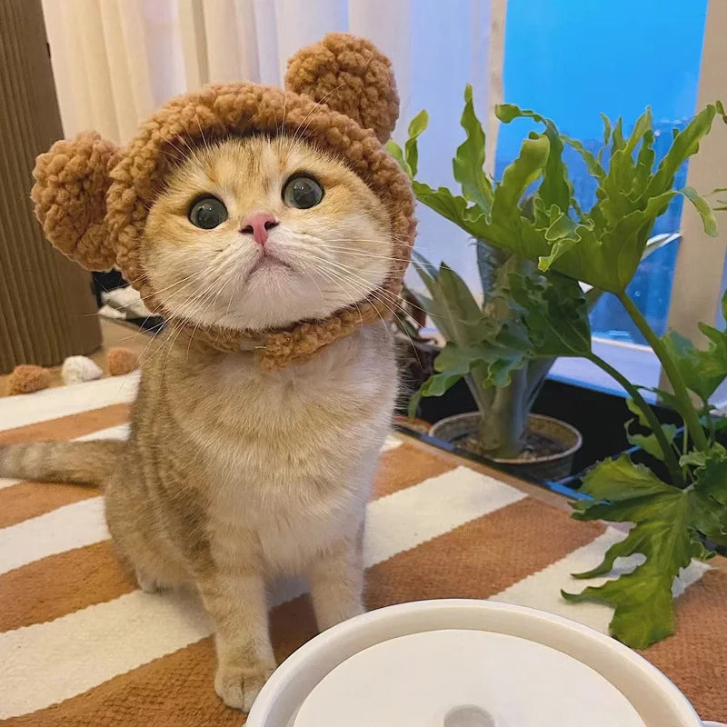 BearHug Cat Cap: Funny Plush Head Cover for Cats