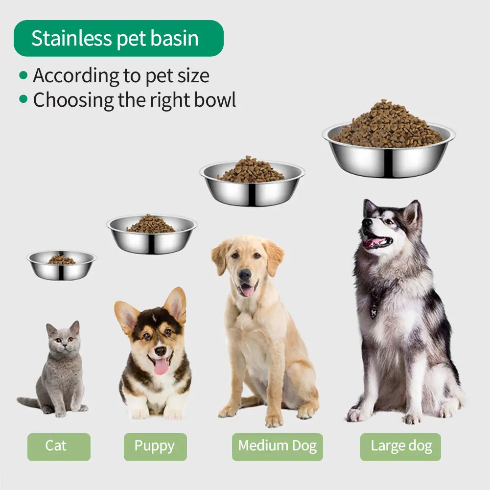 Generous Dining: Large Capacity Stainless Steel Dog Bowl for Durable and Affordable Feeding