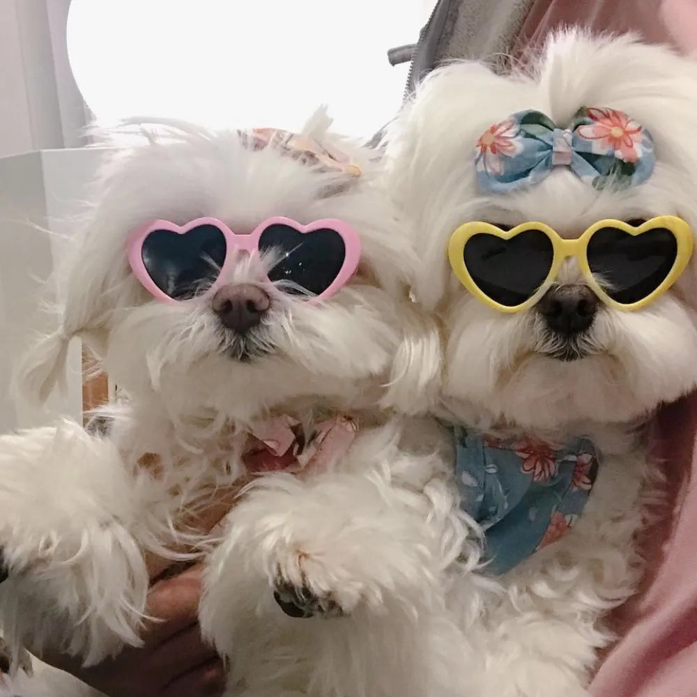 PawVogue Shades: Trendy Pet Sunglasses for Dogs and Cats