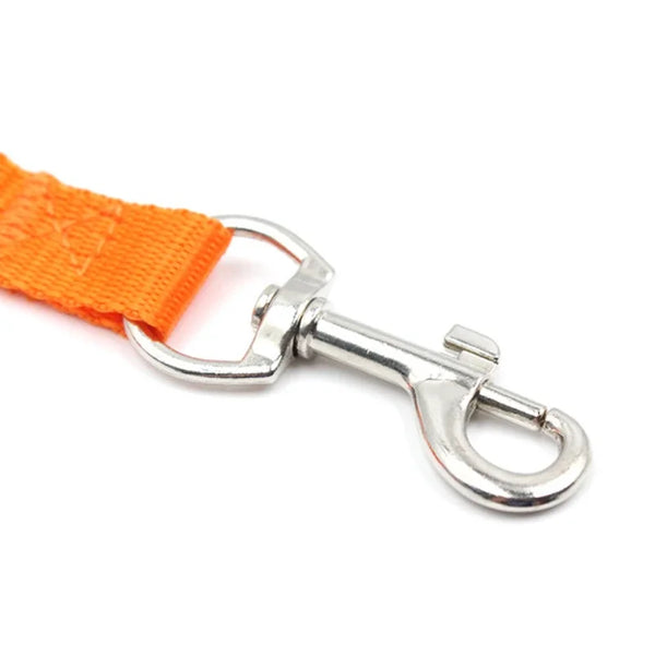 SafeStride Nylon Dog Leash: 120cm*1.5cm Leash for Small, Medium, and Large Dogs