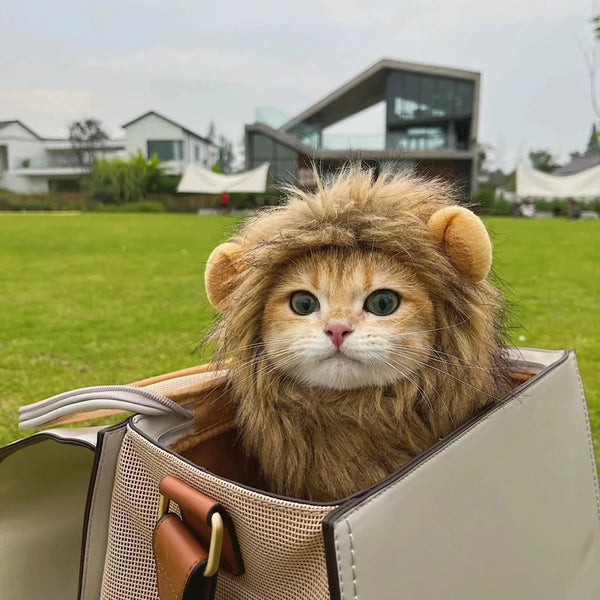 PurrKing Mane Marvel: Cute Lion Mane Cat Wig