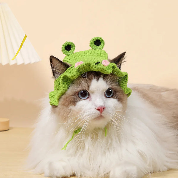 CozyCrown Cat Hat: Elastic, Cute, and Refined Knitted Hat