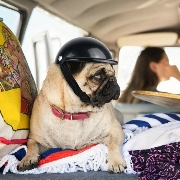 SafeRide Pet Helm: Dog and Cat Bicycle/Motorcycle Helmet with Sunglasses