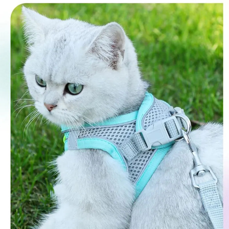 Escape-Proof Adventures: Adjustable Mesh Cat Harness and Leash Set for Small Dogs and Cats