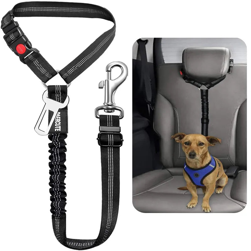 DuoSafe HarnessLead: Solid Two-in-One Dog Harness with Leash and Pet Car Seat Belt