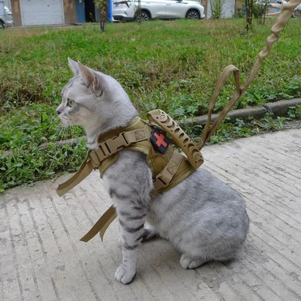 Secure Adventures: Tactical Cat Harness with Adjustable Nylon