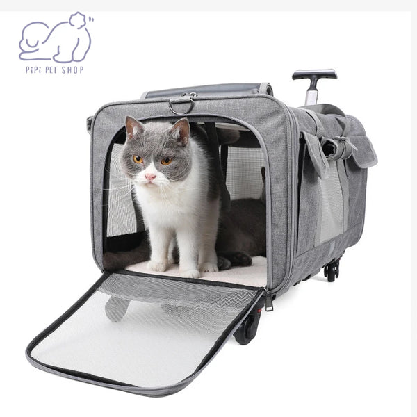 RollingRover Pet Trolley Case: Detachable with Universal Wheels, Breathable and Foldable