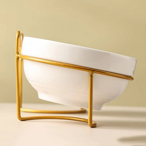 Elevated Dining Delight: Cat Double Bowl with Stand, Mat, and Metal Design