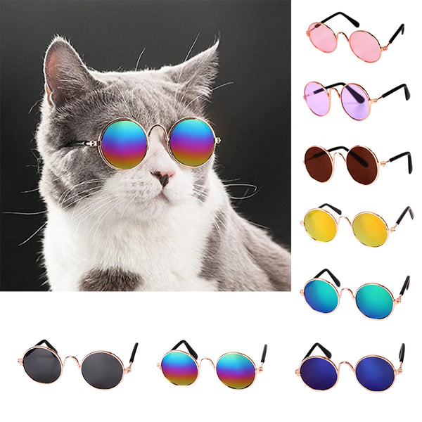 CoolCat Vista Shades: Stylish and Amusing Colored Sunglasses for Pets