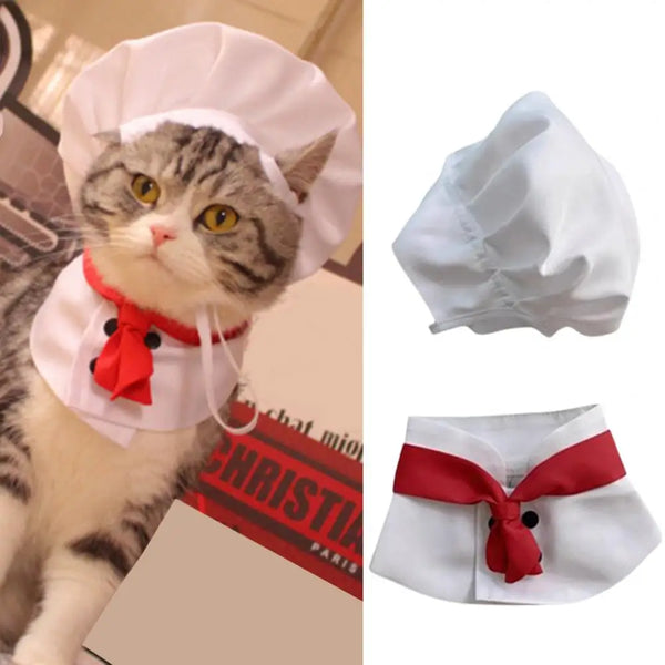 PawChef Ensemble: 1 Set Pet Hat with Soft Buckle Adjustment