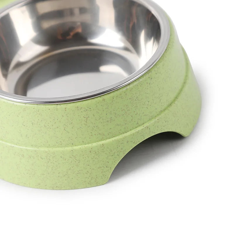 Double Delight: Stainless Steel Pet Bowls for Food and Water