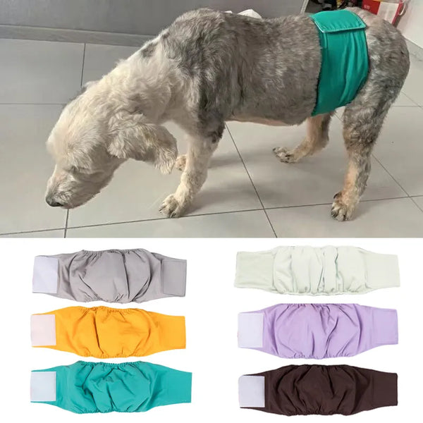 GuardianBriefs: High-Quality Pet Dog Diaper Shorts