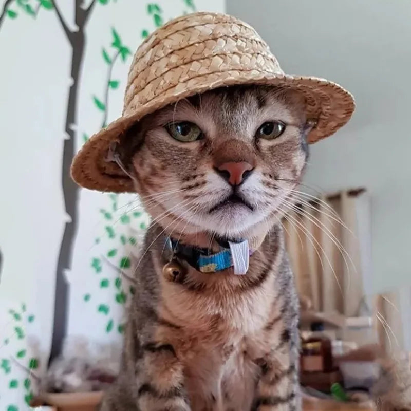 FarmChic Pet Shade: Retro Farmer Cat Dog Hat