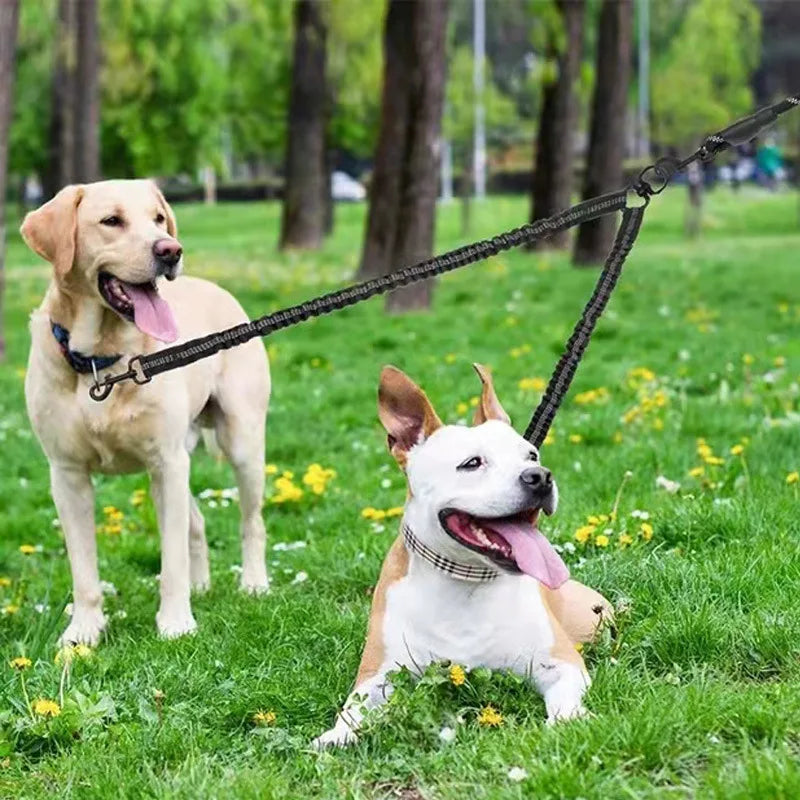 TangleFree DualStride: No Tangle Dual Dog Leash with Strong 2-Way Coupler