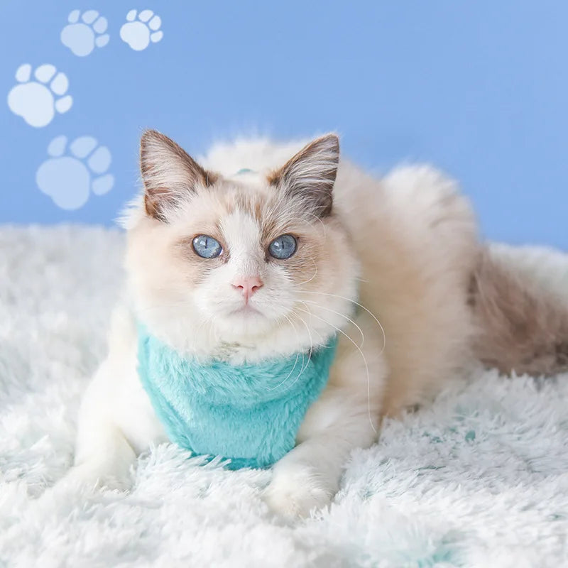 Refined Comfort: Luxury Upgrade Cat and Puppy Harness Set for Winter Warmth and Reflective Safety